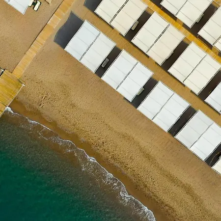 Sherwood Exclusive Lara